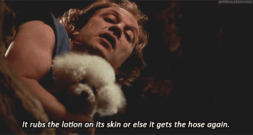 tumblr_inline_mn11i0teAn1qz4rgp